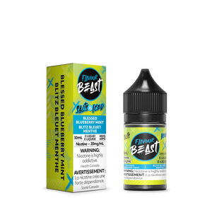 Flavour Beast ICE Salt Nic Vape Juice - Blessed Blueberry Mint (30ml)